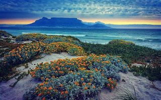 3 Bedroom Apartment in Blouberg