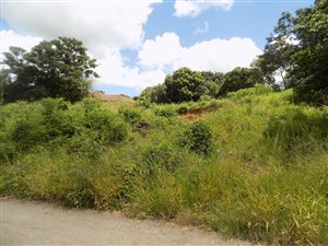 1914 m² Land available in Modjadjiskloof