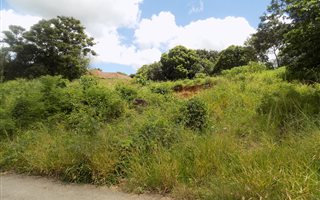 1914 m² Land available in Modjadjiskloof