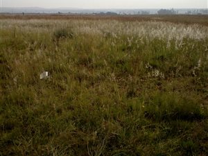 2 ha Land available in Ophir AH