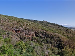 4610 ha Land available in Great Brak River