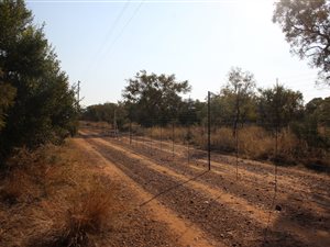 155 ha Farm in Bela-Bela (Warmbaths)