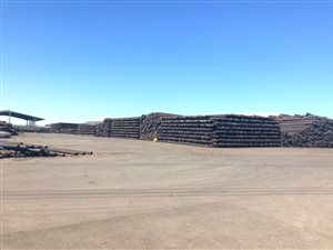 1.3 ha Land available in Chloorkop