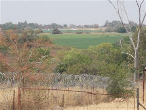 21 ha Farm in Pyramid
