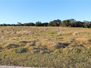 1475 m² Land available in Royalston Coastal Wildlife Estate