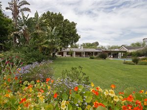 4 Bed House in Constantia