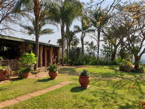 9.7 ha Smallholding in Malelane