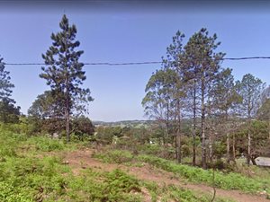 1.6 ha Land available in Bothas Hill