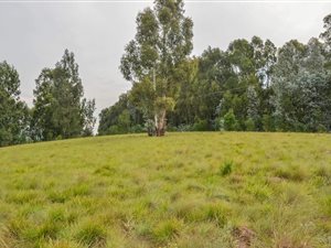 2748 m² Land available in Underberg