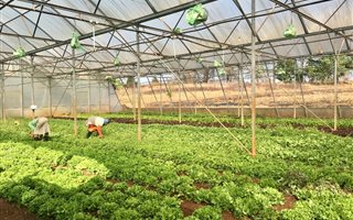 2.2 ha Farm in Howick