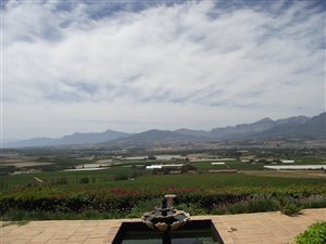 9 ha Farm in Paarl