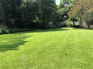 1123 m² Land available in Dunkeld
