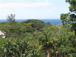 1369 m² Land available in Hibberdene