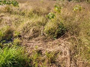 694 m² Land available in Malelane