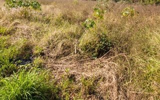 694 m² Land available in Malelane