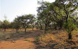 47 ha Farm in Dinokeng