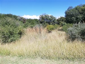 901 m² Land available in Seasons Lifestyle Estate