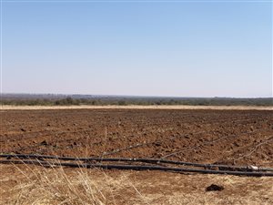 30 ha Farm in Louis Trichardt