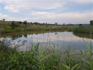 6.8 ha Farm in Donkerhoek