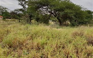 1000 m² Land available in Hectorspruit