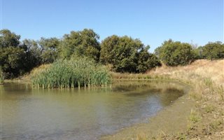 160 ha Farm in Koster