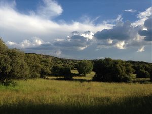 491 ha Farm in Bloemfontein Rural