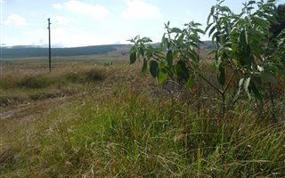 1115 m² Land available in Graskop