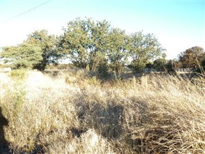 2250 m² Land available in Doringkruin