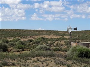 7066 ha Farm in Brandvlei