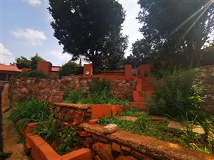3 Bed House in Wilro Park