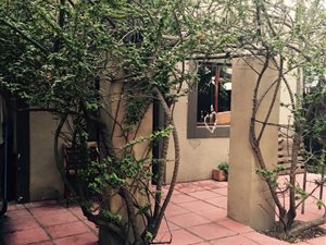 1 Bed House in Wellington Central