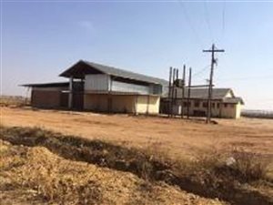 50 ha Farm in Kameel Zyn Kraal