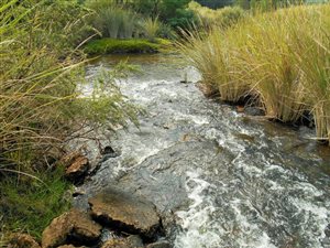 132.3 ha Farm in Humansdorp