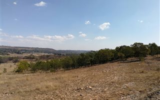 17.4 ha Land available in Klipkop
