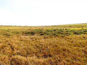 444 m² Land available in Hartenbos