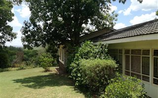 60.5 ha Farm in Koster