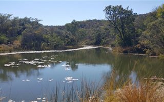 11000000 m² Commercial space in Modimolle