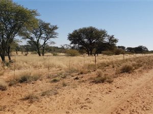 858 ha Farm in Tosca