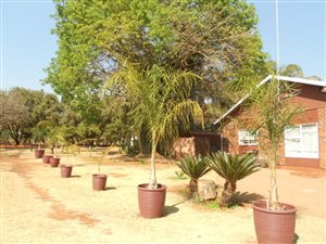 4 Bedroom House in Strydfontein and surrounds