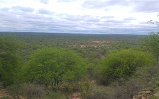 7 m² Farm in Lephalale (Ellisras)