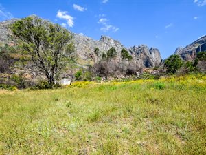 11 ha Farm in Northern Paarl