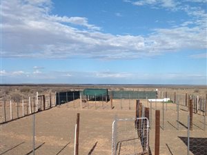1679 ha Farm in Brandvlei