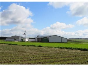 71 ha Farm in Riebeek Kasteel