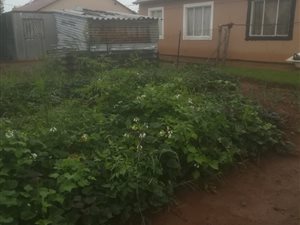 2 Bedroom House in Soweto Central