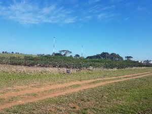 496 m² Land available in Gustrouw
