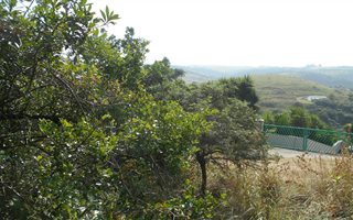 693 m² Land available in Morgans Bay