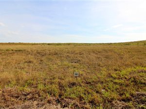475 m² Land available in Hartenbos