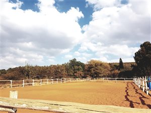 Farm in Strydfontein and surrounds