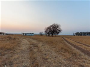 40 ha Farm with House in Henley on Klip