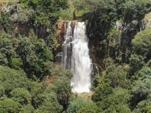 216 ha Farm in Badplaas